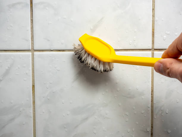 Best Certified Mold Removal  in Saddlebrooke, AZ