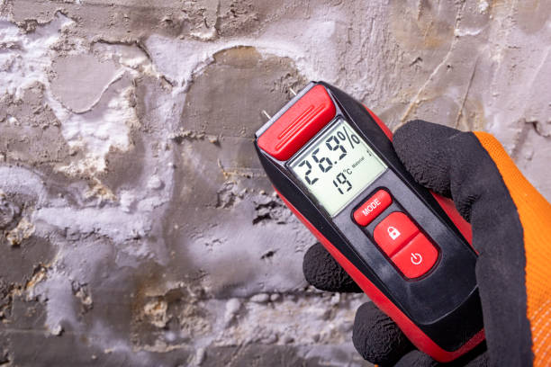 Best Mold Damage Repair  in Saddlebrooke, AZ