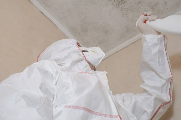 Mold Testing and Removal in Saddlebrooke, AZ
